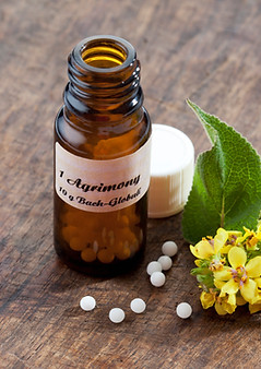 Best homeopathy clinic