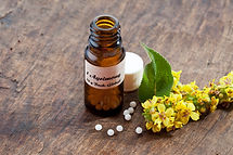 Traitement homéopathique