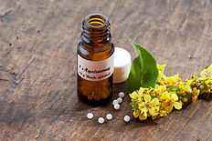 We offer holistic, alternative modalities for total wellness