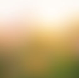 07-18 Làm Điều Lành, Ngay Thẳng, Và Chân Thật