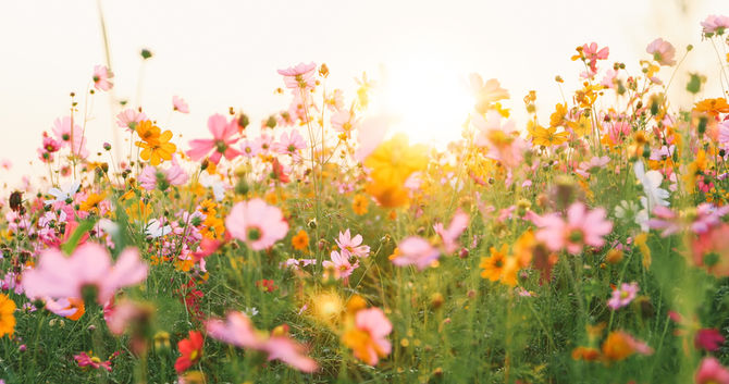 An Overview of the One Big Beautiful Bill Act and Its Potential Impact
