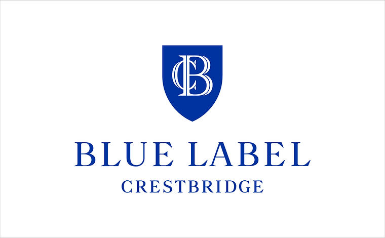 ブルーレーベルクレストブリッジ BLUE LABEL CRESTBRIDGE サイズ38 M - ダークネイビー×白×ライトイエロー レディース ワンピース ブルーレーベルクレストブリッジ BLUE LABEL CRESTBRIDGE サイズ38 M - ダークネイビー×白×ライトイエロー レディース ワンピース