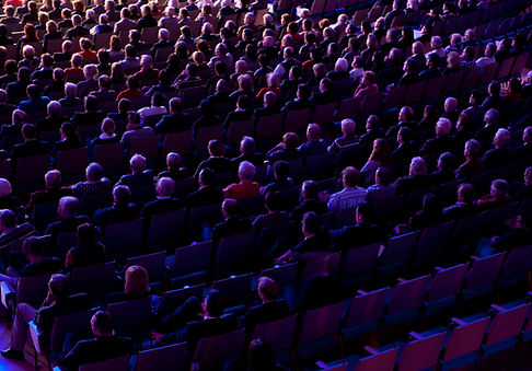 Audience In Theater