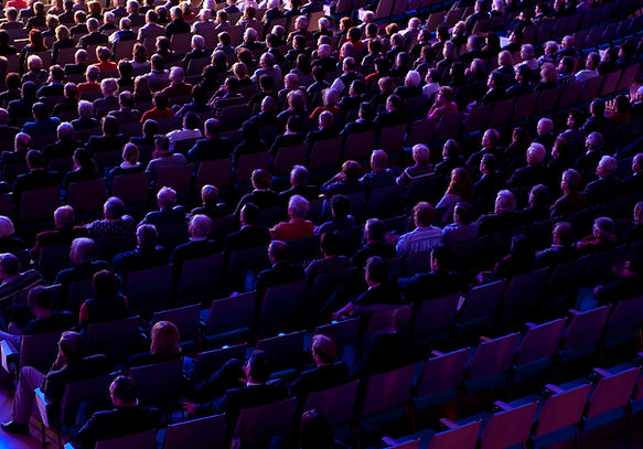 Audience In Theater