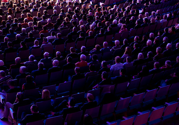Audience In Theater