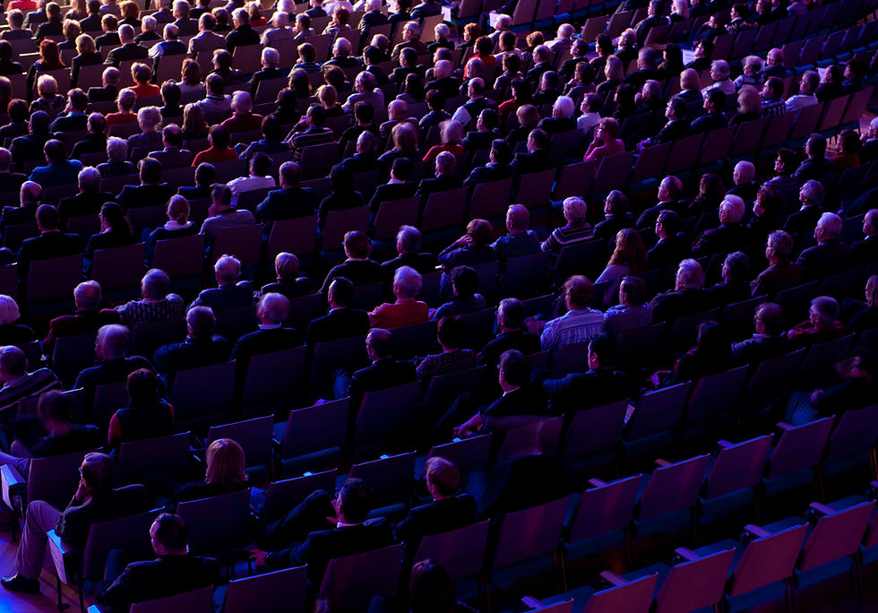 Audience In Theater