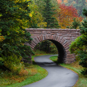 The Journey to LMHC: Navigating School, Supervision, and Licensure in NY