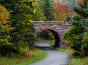 Ehrliche und offene Kommunikation