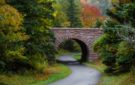 The Burns Anxiety Inventory