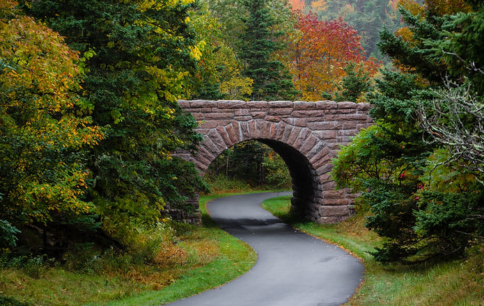 Stone Bridge Pathway