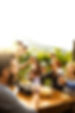 friends toasting with red wine after the harvesting