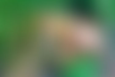 Home Grown Kids: Animals in the Garden