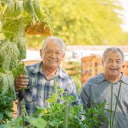 Two men gardening andropause male