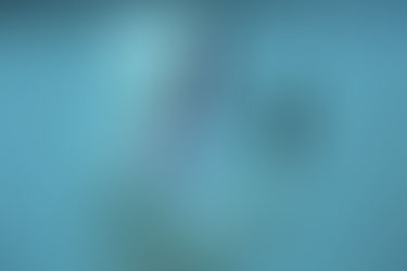 Mobile Learning: a aprendizagem na palma da mão