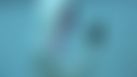 Why I Hate Answering the Phone