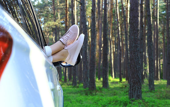 Relaxing in Forest