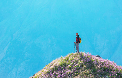 AdobeStock_273798487