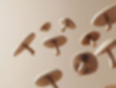 Floating Brown Mushrooms