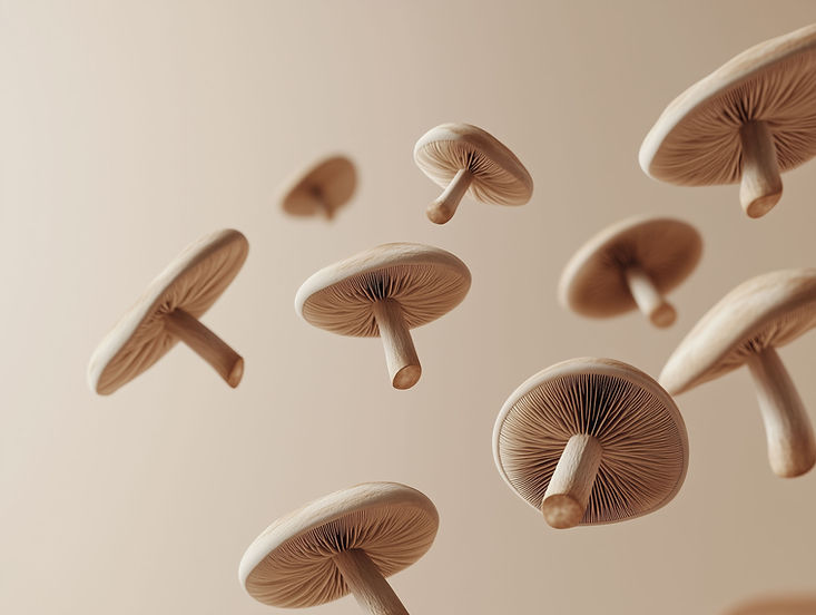 Floating Brown Mushrooms