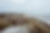 Duinen en zee