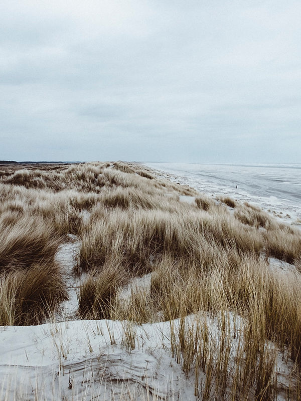 Duinen en zee