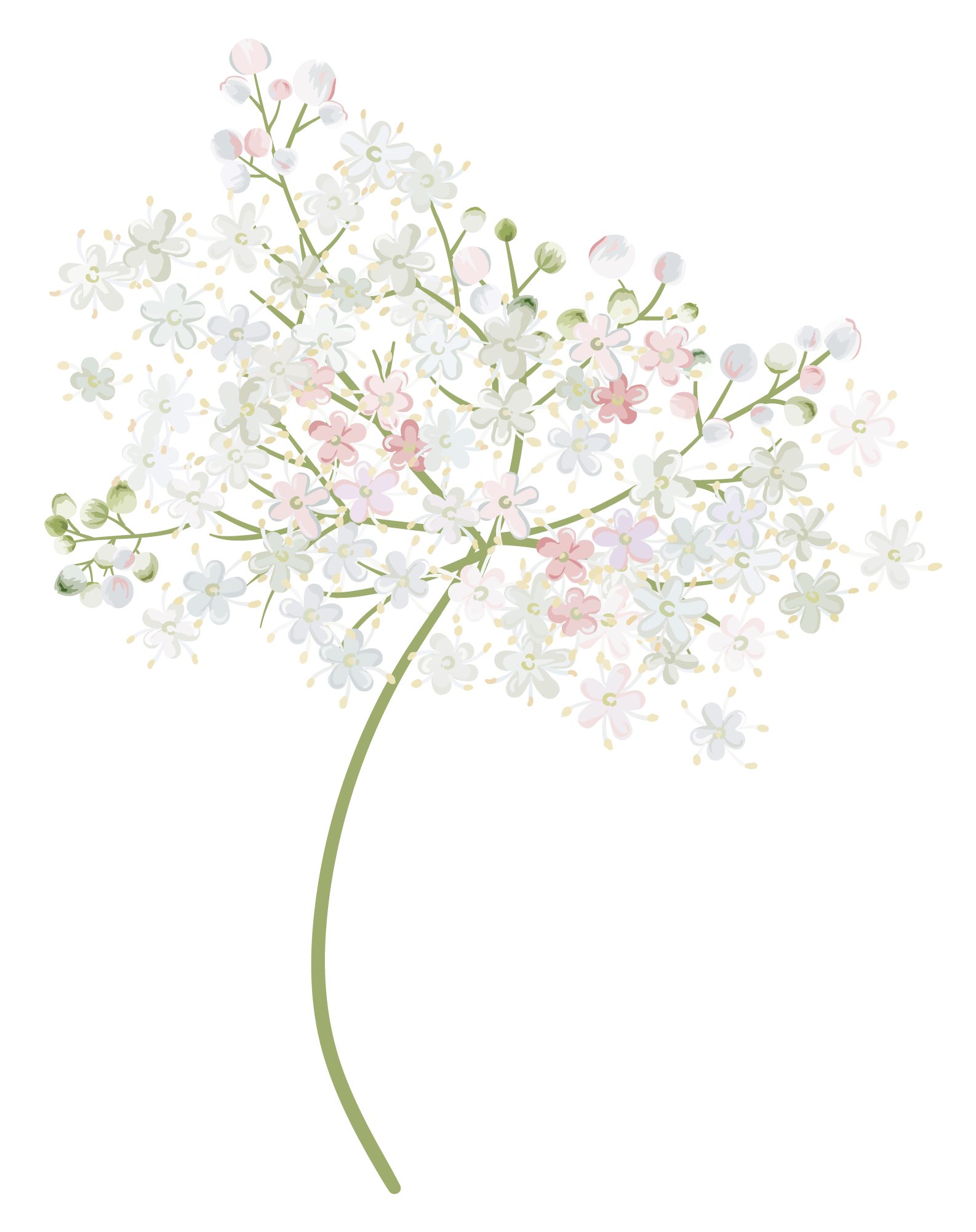 섬세한 꽃 일러스트
