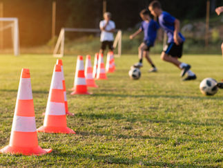THE YOUNG FOOTBALLERS GUIDE TO SUCCESS
