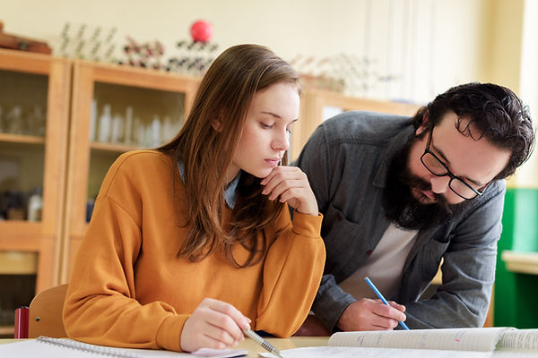 Insegnante privato scuole superiori