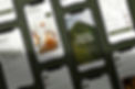Web designing
