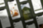 Web designing