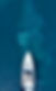 Luxury Yacht Aerial