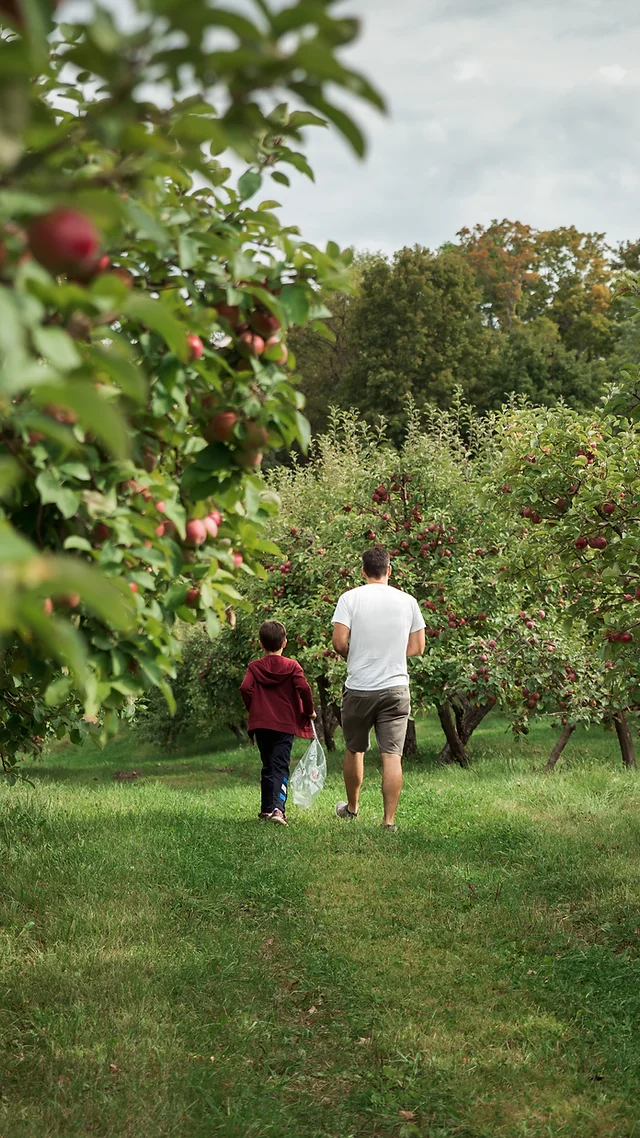 Home Daviesfarm Apple Picking Farm Stand Congers Ny I noticed his hand was shaking slightly as the. apple picking farm stand congers ny
