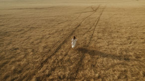 Aprendiendo de la Vida