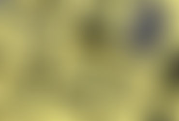 Mastering Direct Marketing: Strategies, Success Stories, and Key Insights