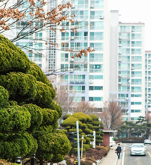 Apartment Complex Landscaping