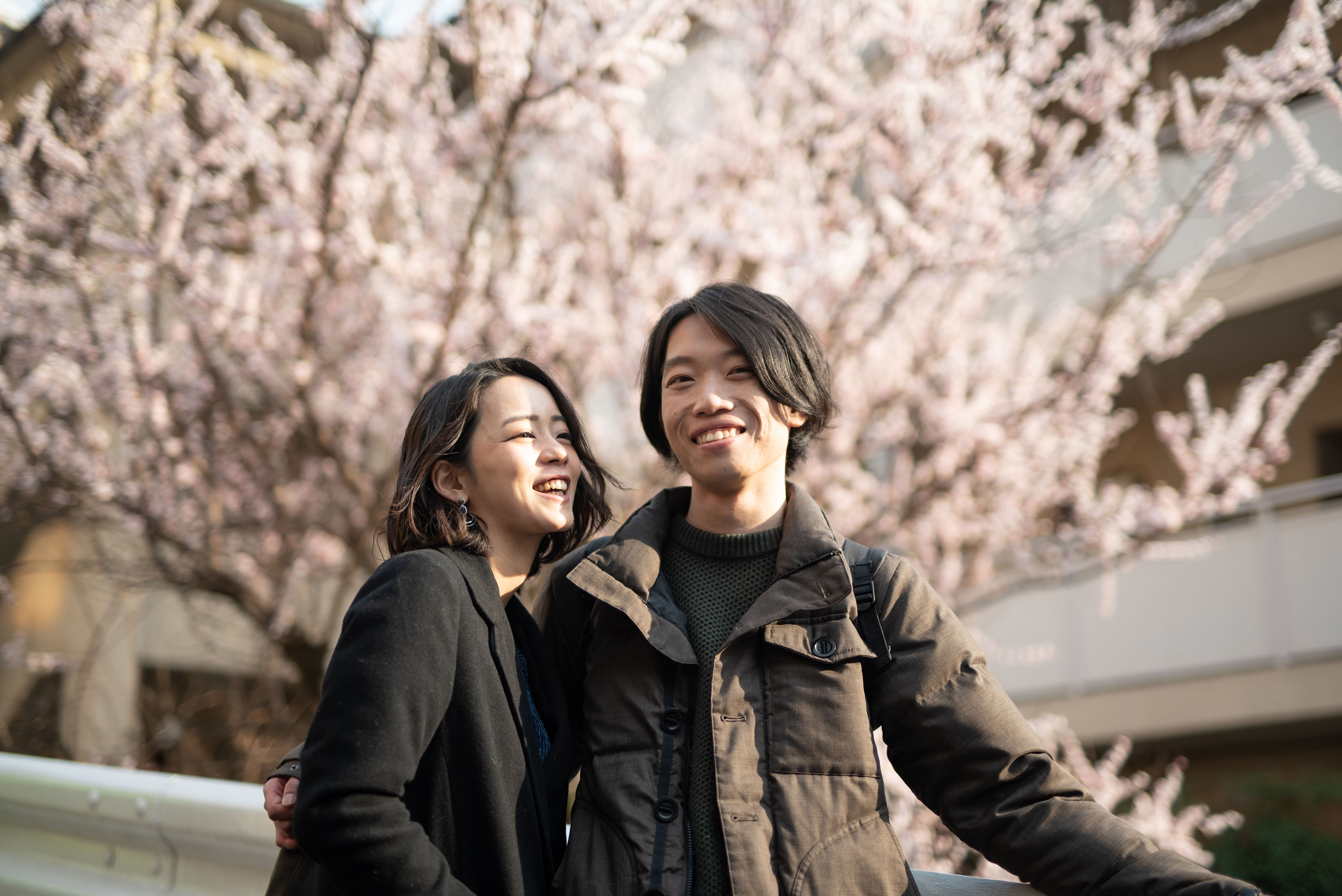 Enjoying the Cherry Blossom