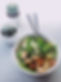 Plato vegano