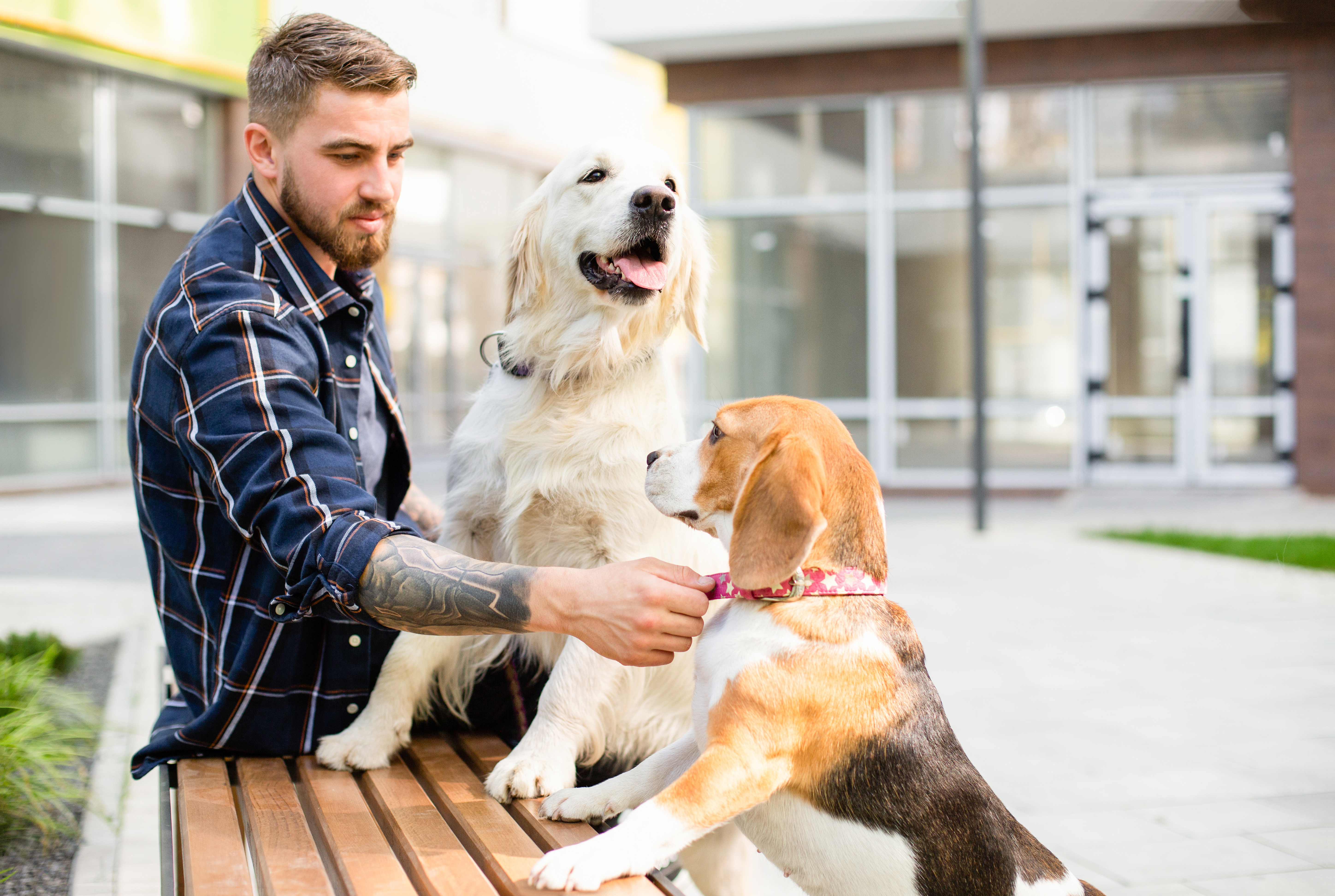 Expert 3D areola tattooing services restoring natural appearance and confidence.