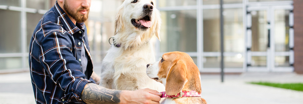 Dog Lover