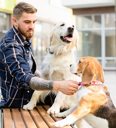 Dog Lover