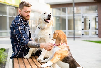 Dog Lover