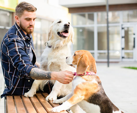 Dog Lover