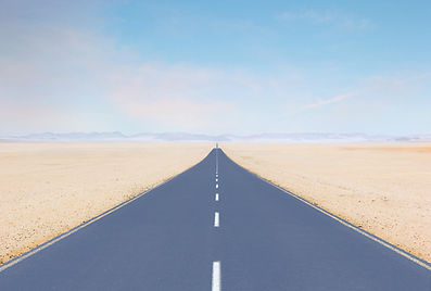 Desert Roadscape