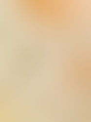 Design, Science and Information