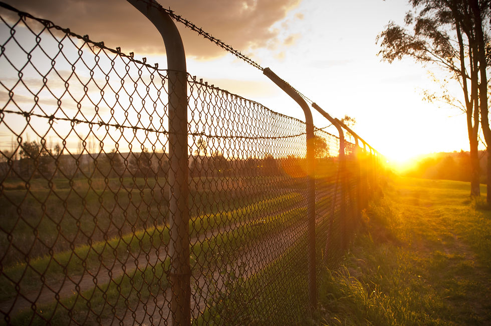 Old wire fence with the sun streaming alongside it
