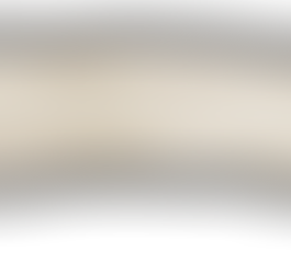 De Alejandría al Algoritmo: La Búsqueda del Conocimiento Total y la Evolución de sus Depósitos