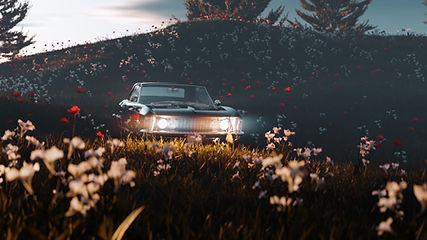 Car Parked in Fields