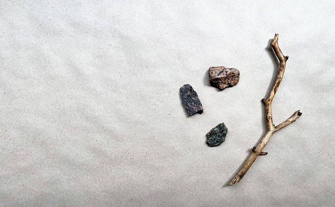 Branch And Rocks