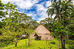 Jungle Hut