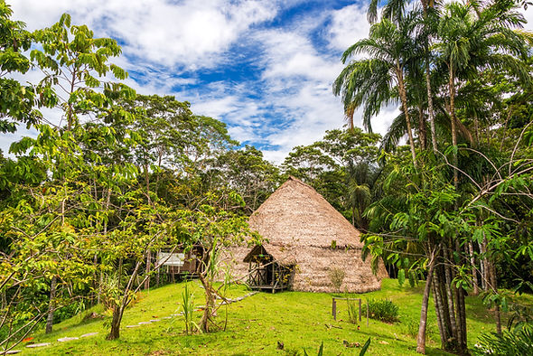 Jungle Hut